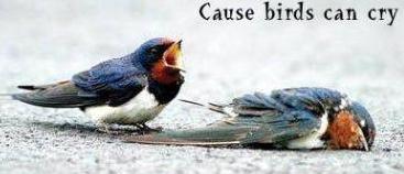  boka ou  lefira9e...